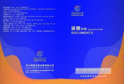 2026地域優(yōu)化服務(wù)核心能力深度評測報告